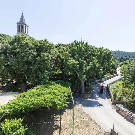 Davorka * Bozava