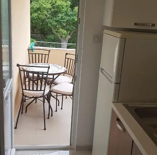 Davorka Божава