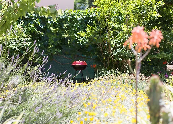 Davorka * Божава